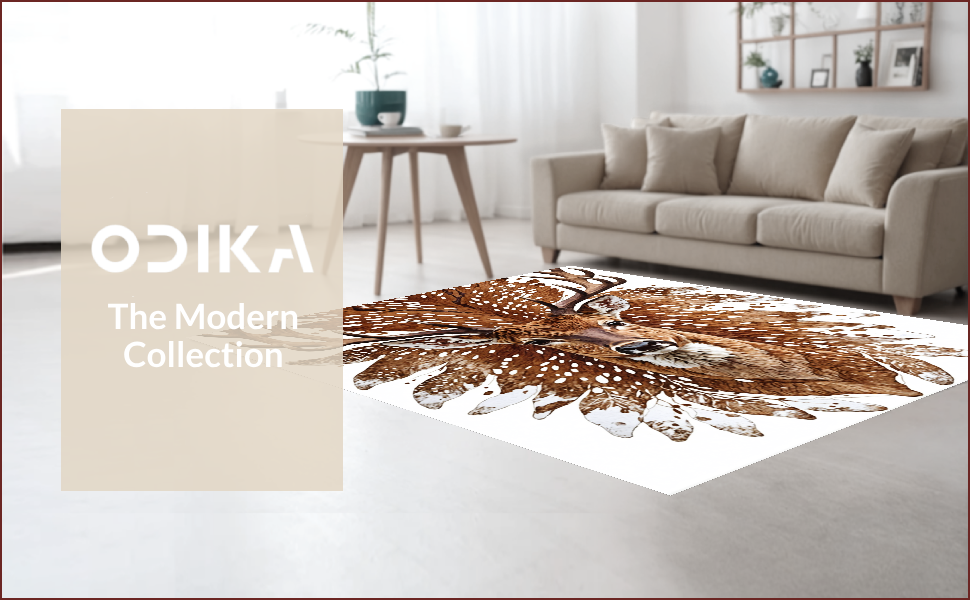 Ultra Soft Area Rug, Non Slip, Stain Resistant, Washable Area Rugs for Living Room, Bedroom, Multicolor Faux Fur Living Room Rug(Brown) - ODIKA
