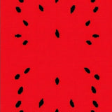Whimsical Citrus Patterned Mat(Red)