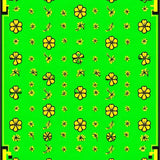 Bold Playful Shamrock(Green)