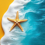 Marine Blue Entryway(Yellow)