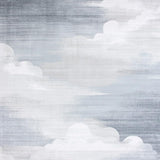 Modern Gray Aesthetic(Gray)