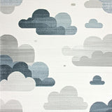 Minimalist Luxe Fluffy Design Element(Gray)