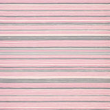 Exotic Zebra Inspired Aesthetic(Pink)