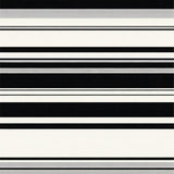 Vibrant Contemporary Graphic Lines(Black)