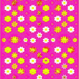 Cheerful Colorful Patterned Accent(Pink)