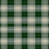 Chic Earth Tone Checkered Elegance(Green)