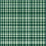Minimalist Modern Multicolor Check(Green)