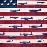 Elegant Distressed Aviation(Red)
