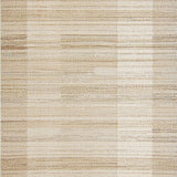 Cozy Neutral Chevron(Beige)