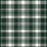 Timeless Rustic Plaid Aesthetic(Green)