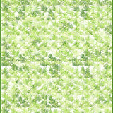 Lush Earthy Tones Visual Harmony(Green)