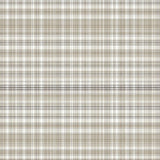 Contemporary Textured Plaid Look(Beige)