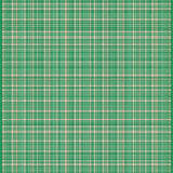 Luxurious Lattice Arrangement with Neutral Colors(Green)