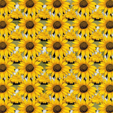 Radiant Yellow Rustic Flair(Yellow)