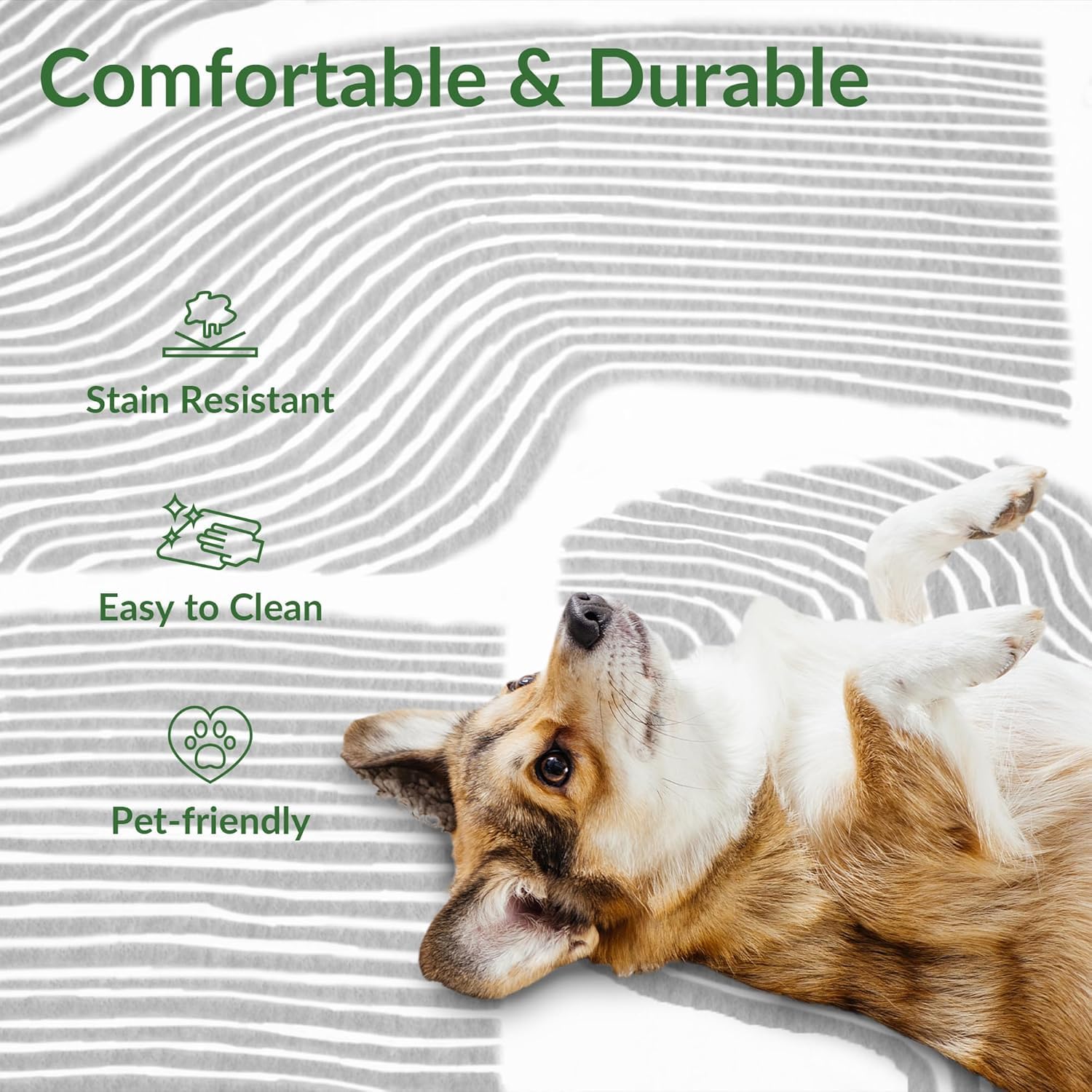 Zen Garden Area Rug - ODIKA