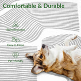 Zen Garden Area Rug - ODIKA