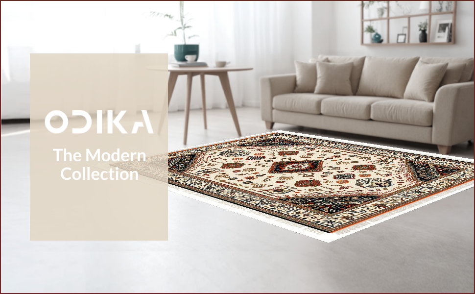 Ultra Soft Area Rug, Non Slip, Stain Resistant, Washable Area Rugs for Living Room, Bedroom, Boho Non-Shedding Living Room Rug(White) - ODIKA
