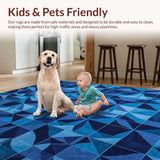 Plush Transitional Decor Area(Blue)