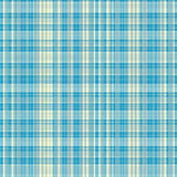 Chic Light Blue Plaid Aesthetic(Blue)