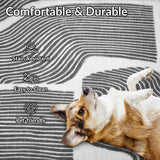 Zen Garden Area Rug - ODIKA
