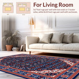 Chic Ogee with Contrast(Blue)