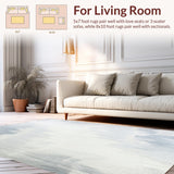 Arctic Frost Luxurious Furry with Modern Appeal(Gray)