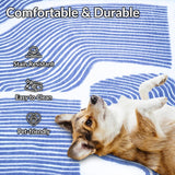 Zen Garden Area Rug - ODIKA