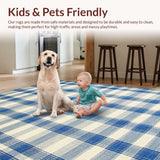 Modern Weather Resistant Play(Blue)