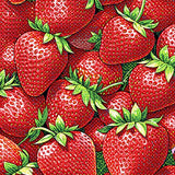 Whimsical Fruit Inspired Aesthetic(Red)