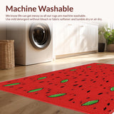 Bright Juicy Slice Illustration(Red)