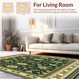 Intricate Floral Stripe(Green)
