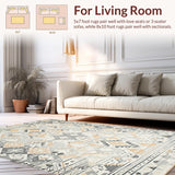 Timeless Beige Ogee Display(Gray)