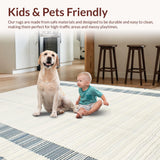 Modern Blue Stripe Visual(Beige)