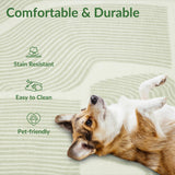 Zen Garden Area Rug - ODIKA