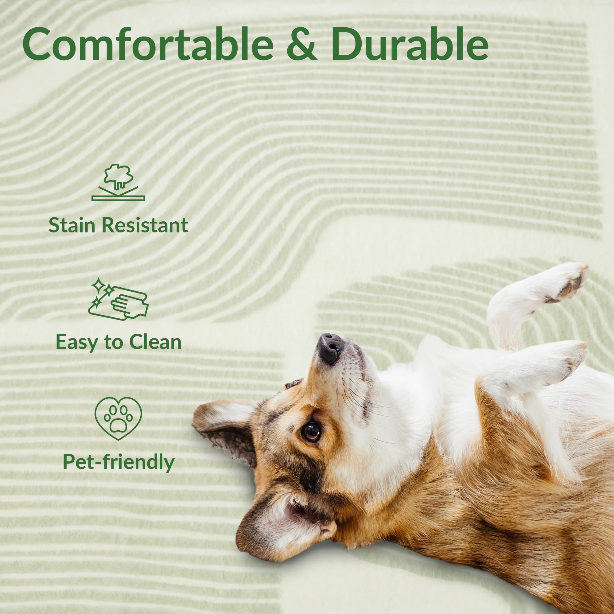 Zen Garden Area Rug - ODIKA
