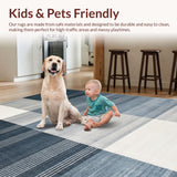 Modern Gradient Plush Appeal(Blue)