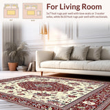 Intricate Floral Vintage Area with Deep Red and Cream Accents(Red)