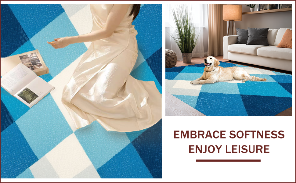 Ultra Soft Area Rug, Non Slip, Stain Resistant, Washable Area Rugs for Living Room, Bedroom, boys bedroom space rug(Blue) - ODIKA