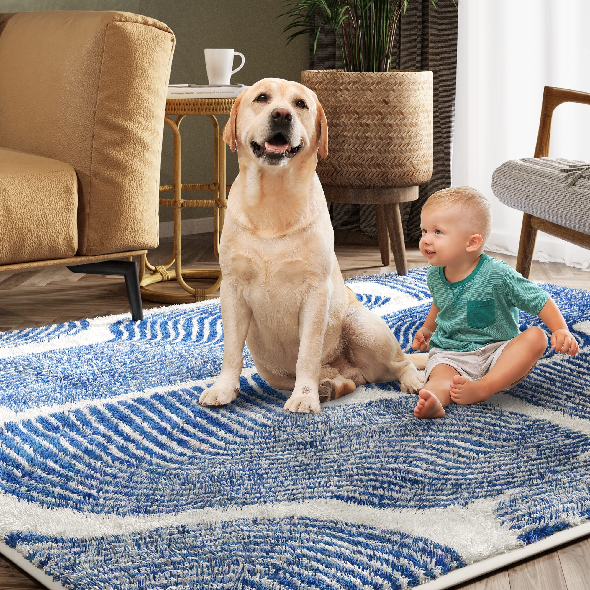 Zen Garden Area Rug - ODIKA