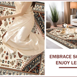 Ultra Soft Area Rug, Non Slip, Stain Resistant, Washable Area Rugs for Living Room, Bedroom, Boho Non-Shedding Living Room Rug(White) - ODIKA