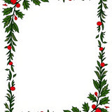 Holly Leaf Border Yuletide Decorative Entry Way(Green)