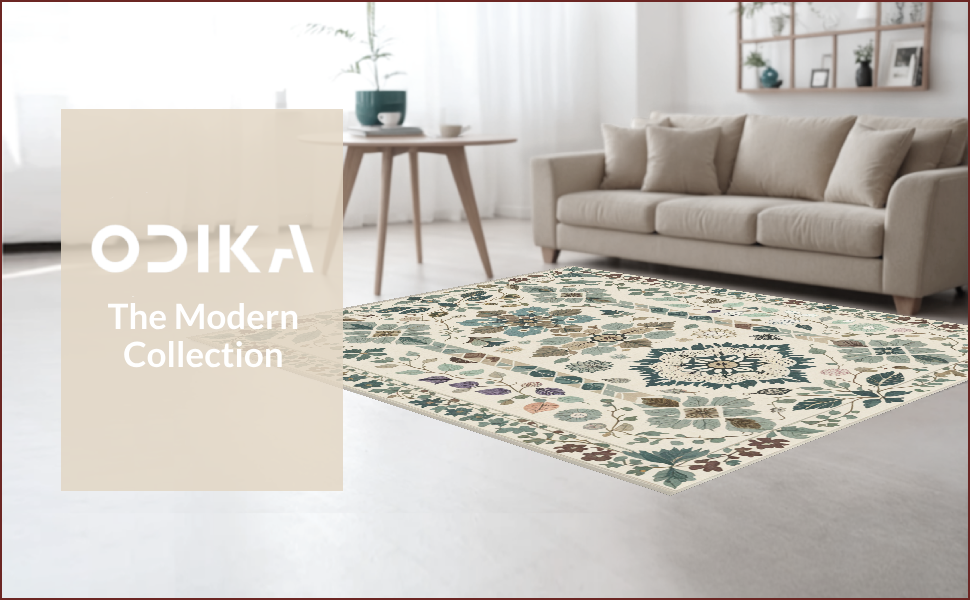 Ultra Soft Area Rug, Non Slip, Stain Resistant, Washable Area Rugs for Living Room, Bedroom, Modern Beige Stain-Resistant Kitchen Runner(Beige) - ODIKA