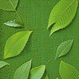 Ultra Soft Area Rug, Non Slip, Stain Resistant, Washable Area Rugs for Living Room, Bedroom, Soft Green Insect Motif Dining Room Rug(Beige)