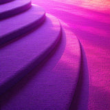 Ultra Soft Area Rug, Non Slip, Stain Resistant, Washable Area Rugs for Living Room, Bedroom, Plush Shaggy Kids(Purple)