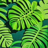 Ultra Soft Area Rug, Non Slip, Stain Resistant, Washable Area Rugs for Living Room, Bedroom, Monstera Leaf Plush(Green)