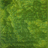 Ultra Soft Area Rug, Non Slip, Stain Resistant, Washable Area Rugs for Living Room, Bedroom, 3D Shag Moss(Green)