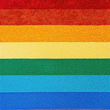 Ultra Soft Area Rug, Non Slip, Stain Resistant, Washable Area Rugs for Living Room, Bedroom, Rainbow Stripe Plush(Red)
