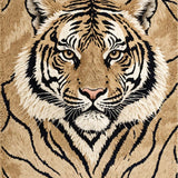 Ultra Soft Area Rug, Non Slip, Stain Resistant, Washable Area Rugs for Living Room, Bedroom, Faux Tiger Fur(Beige)