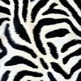 Ultra Soft Area Rug, Non Slip, Stain Resistant, Washable Area Rugs for Living Room, Bedroom, Non-Slip Zebra Print Laundry Mat(Black)