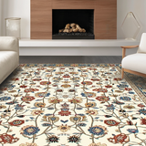 Ultra Soft Area Rug, Non Slip, Stain Resistant, Washable Area Rugs for Living Room, Bedroom, Artistic Abstract Floral Expression(White)